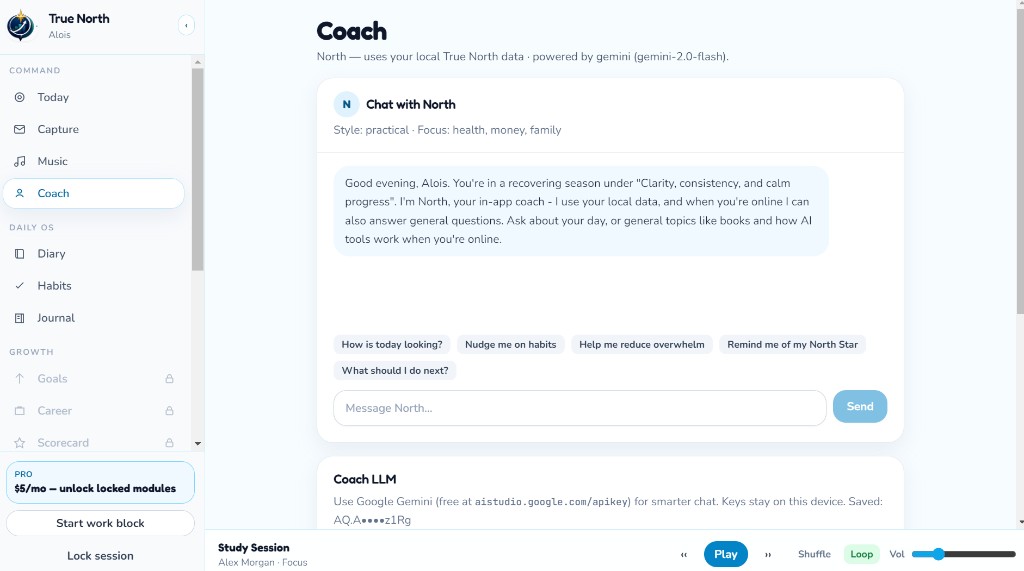 True North Coach screen with private AI coaching and quick prompts