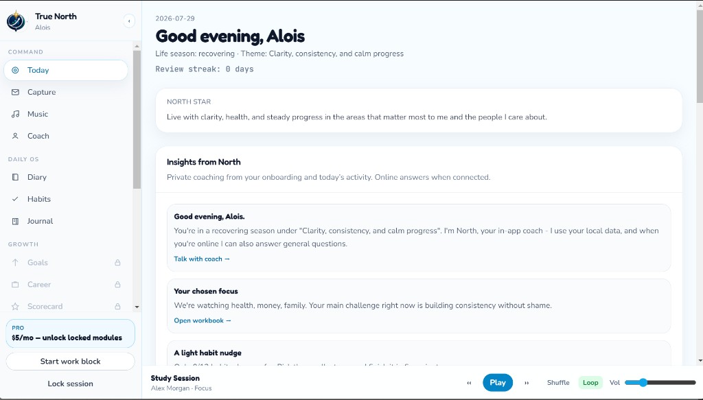 True North Today dashboard showing the North Star and coach insights